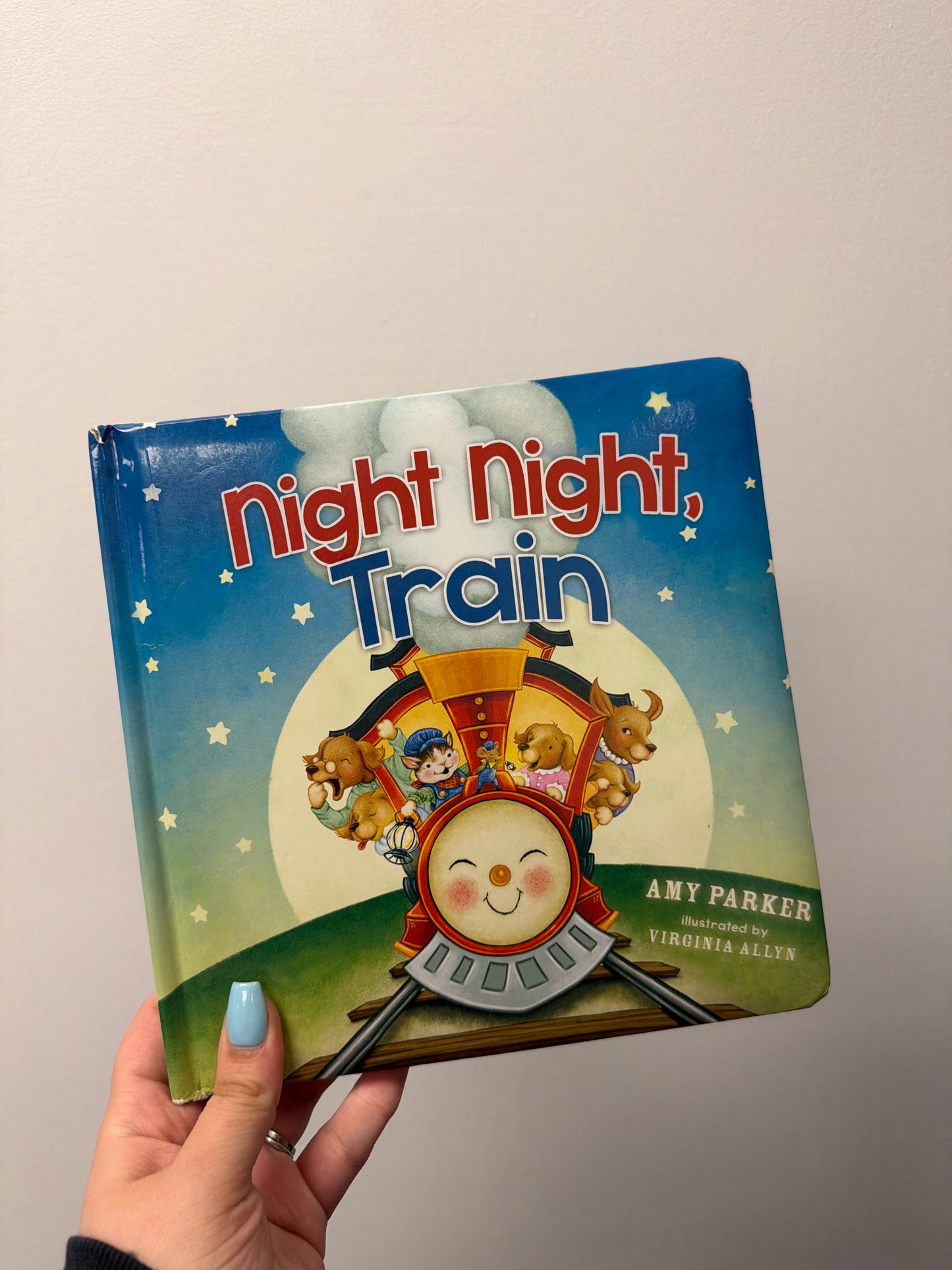 NIGHT NIGHT TRAIN BOOK