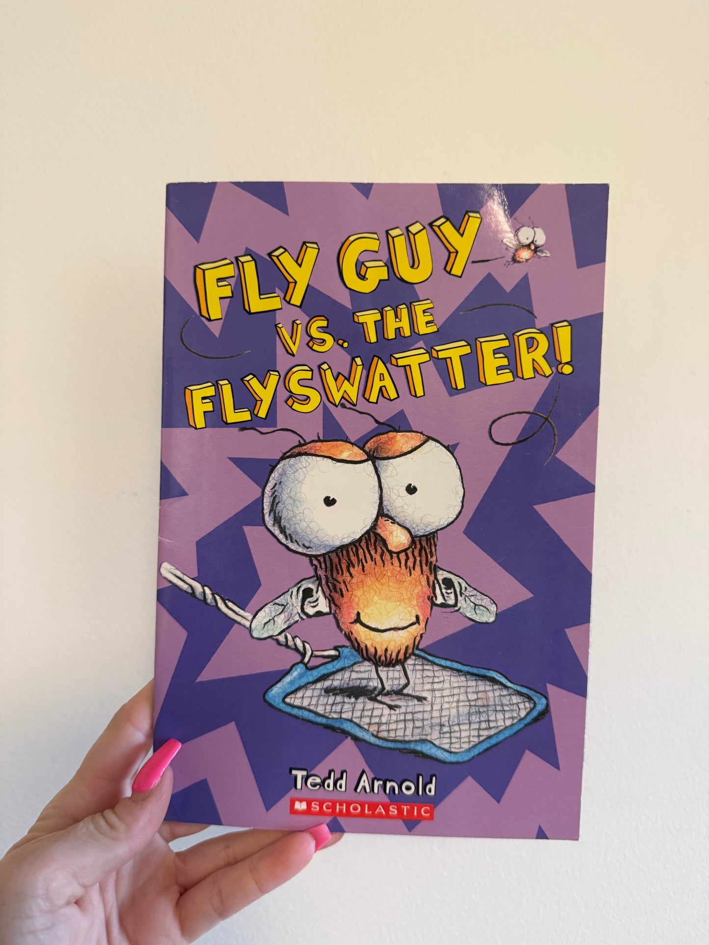 FLY GUY BOOK