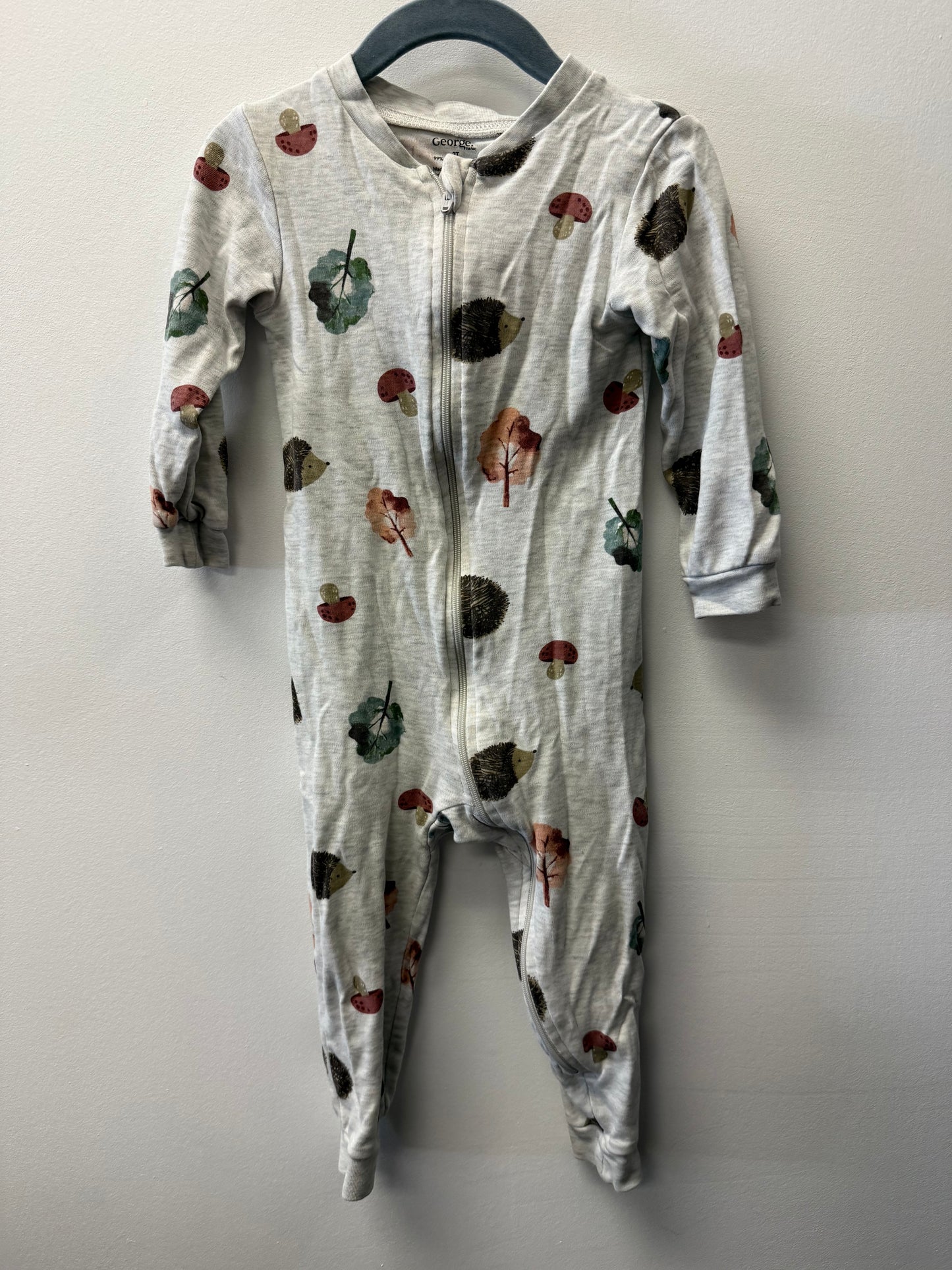 GEORGE HEDGEHOG SLEEPER SIZE 2T