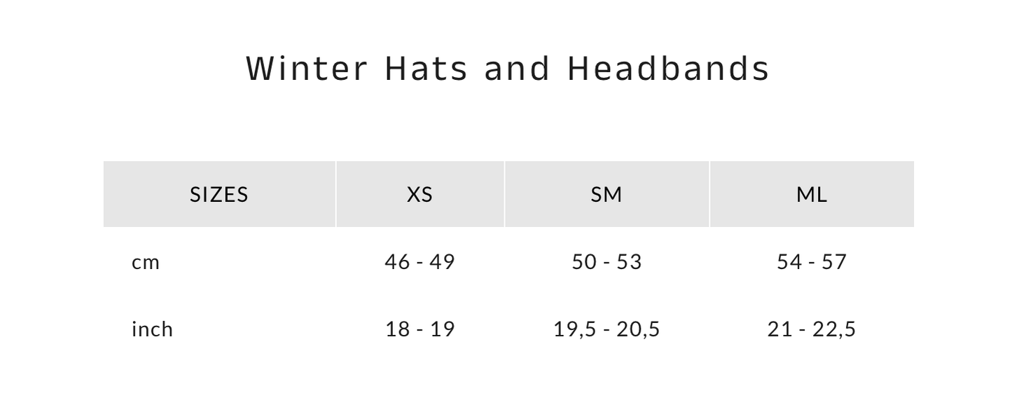HEADSTER CHECK YOURSELF BEANIE