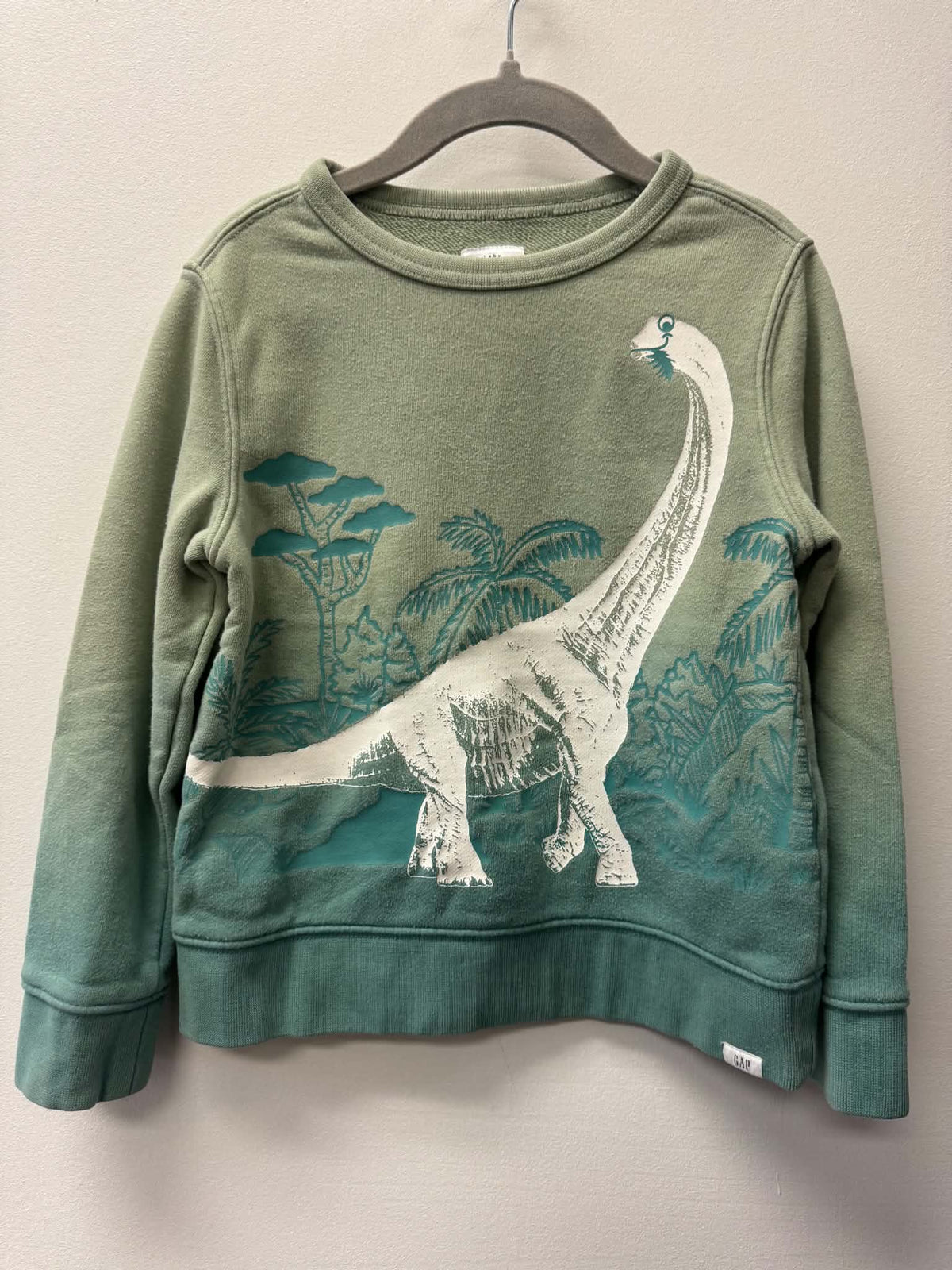 GAP DINO CREW SIZE 5
