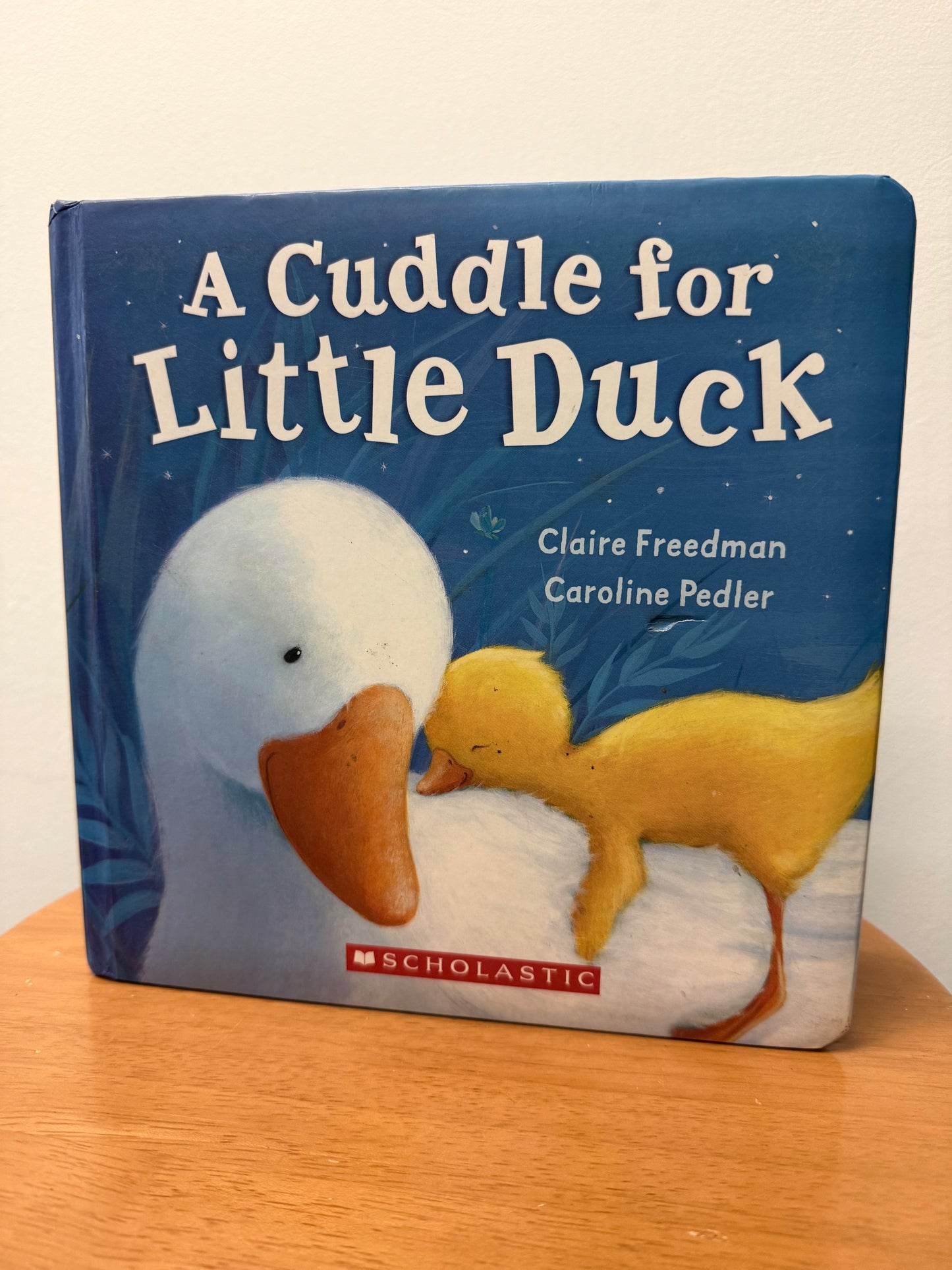 A CUDDLE FOR LITTLE DUCK BOOK