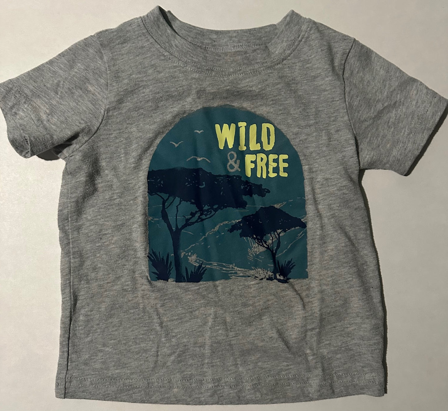 Carter's, Grey "Wild & Free" T-Shirt - 24 Months