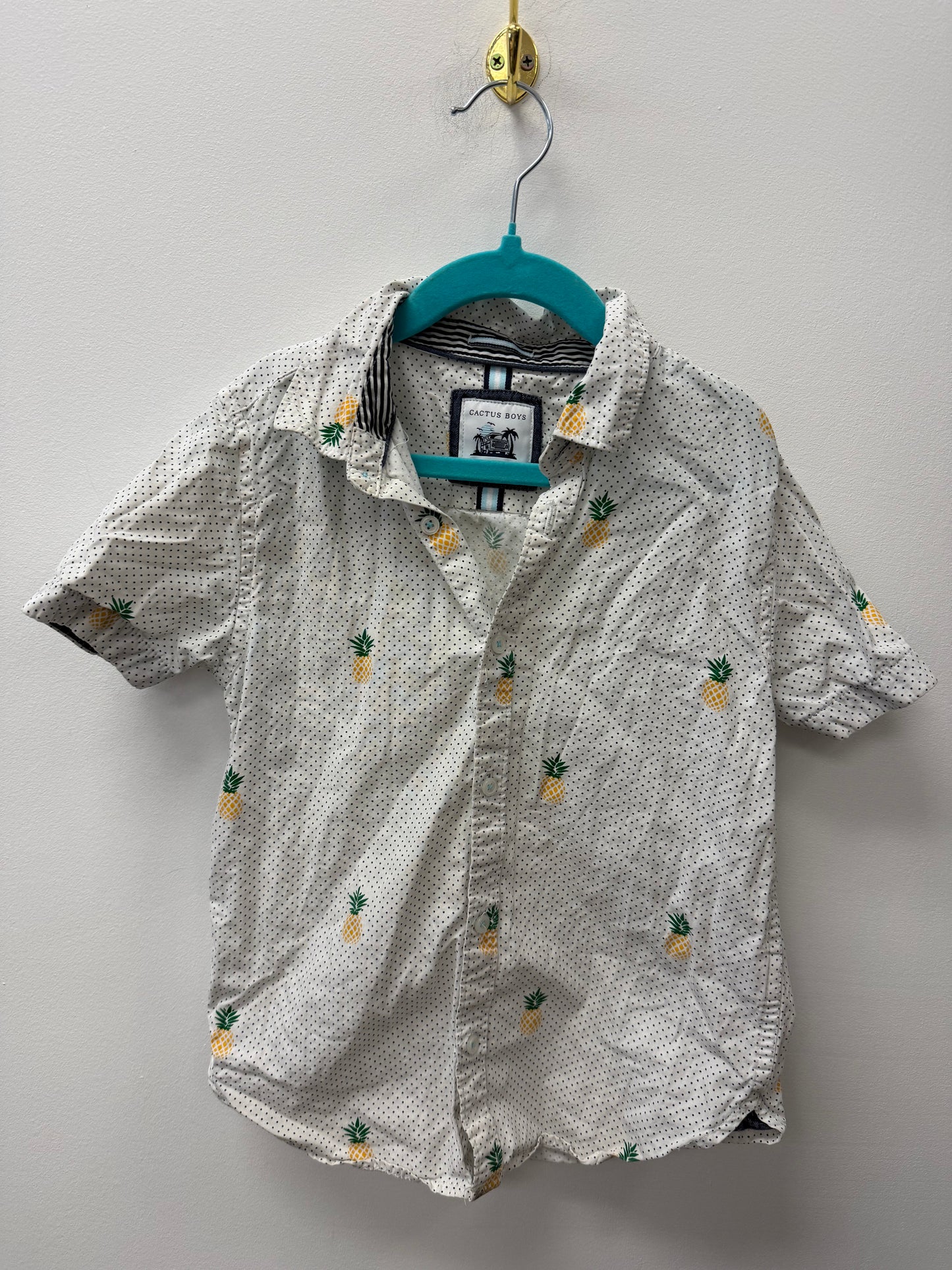 CACTUS BOY BUTTON UP SIZE 7