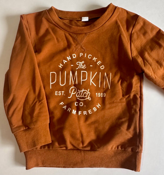 Unknown Brand, "The Pumpkin Patch" Pullover - Size 2-3T