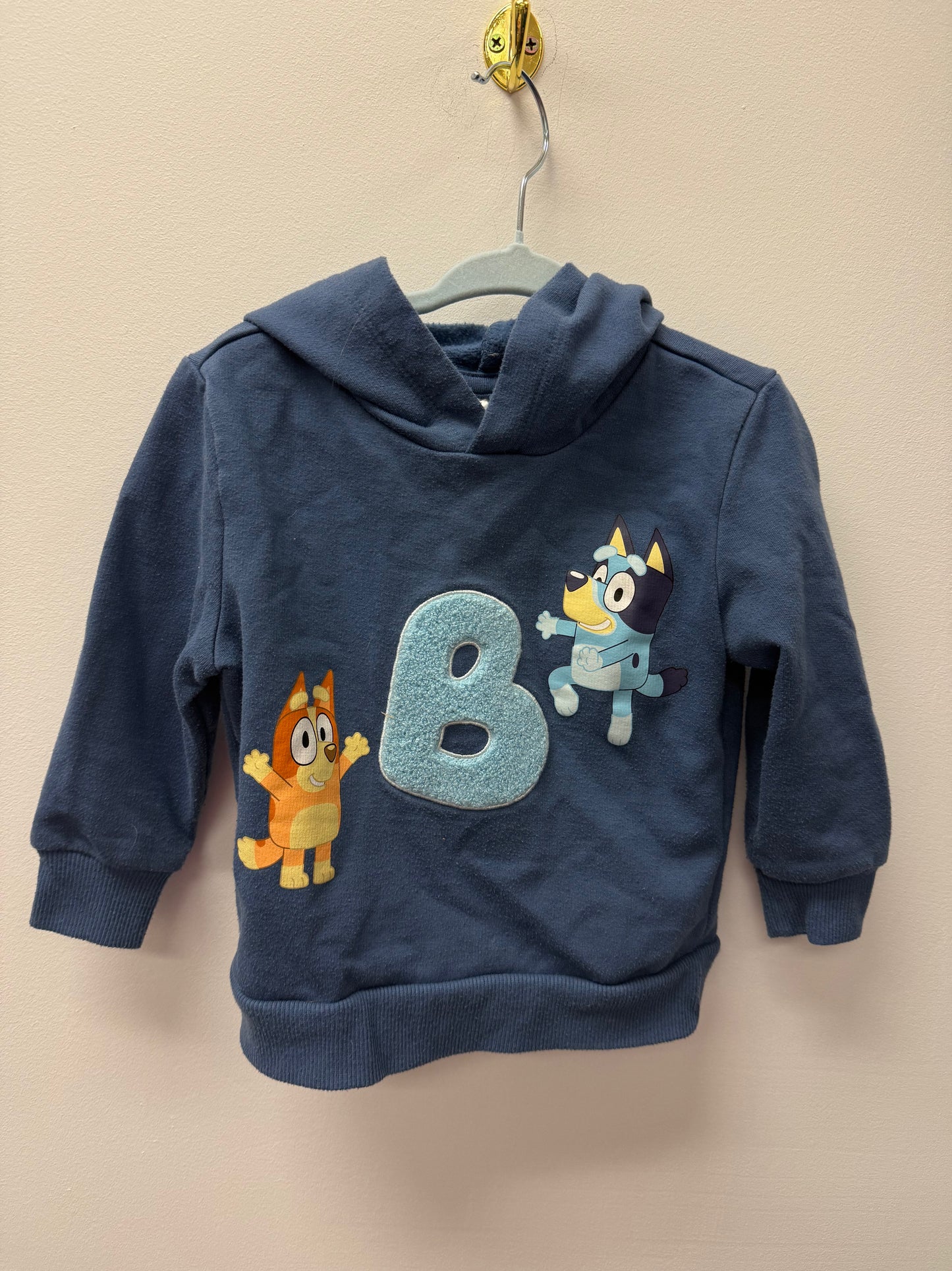 BLUEY HOODIE SIZE 2T