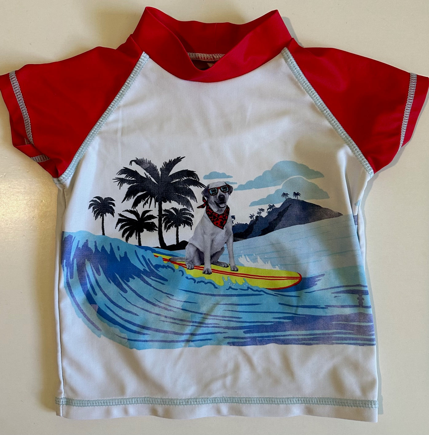 Andy & Evan, Dog Surfing Swim T-Shirt - 9-12 Months
