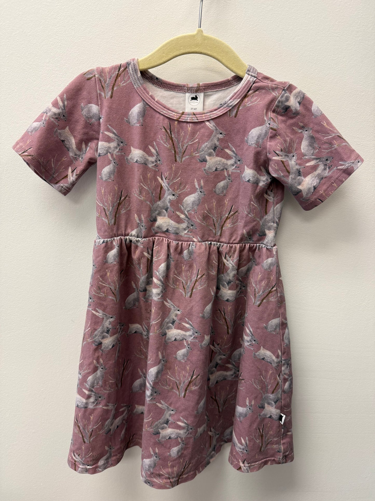 LITTLE & LIVELY BUNNY DRESS SIZE 3-4T