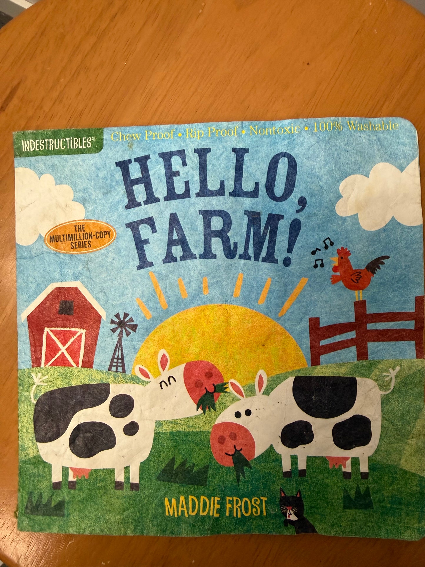 INDESTRUCTIBLES HELLO FARM BOOK