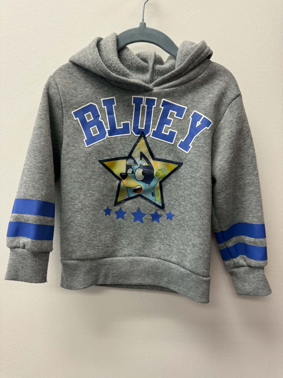 BLUEY HOODIE SIZE 3T